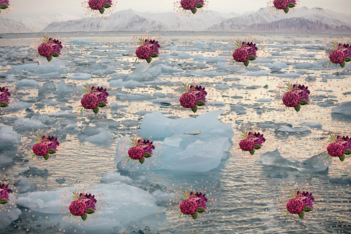 Zinn-Arctic — Walker Fine Art